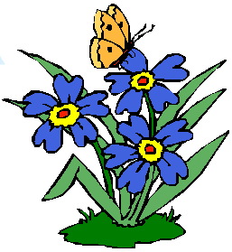 бабочка на цветке Изображение для вставки на страницу